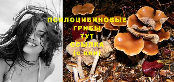 дурь Лиски