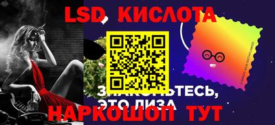индика Камышлов