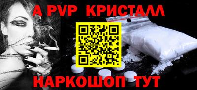 индика Камышлов