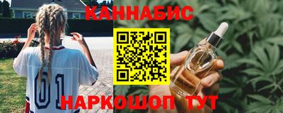 индика Камышлов