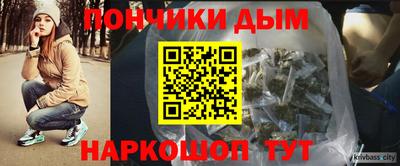 индика Камышлов