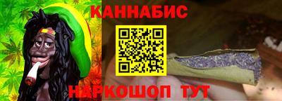 индика Камышлов