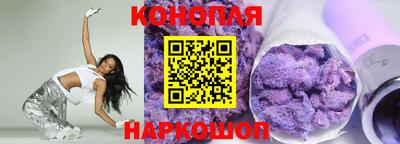 индика Камышлов