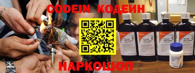 индика Камышлов