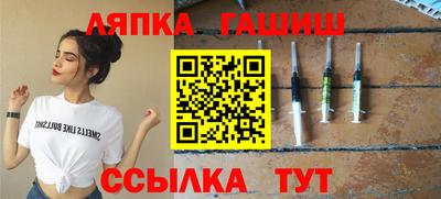 индика Камышлов