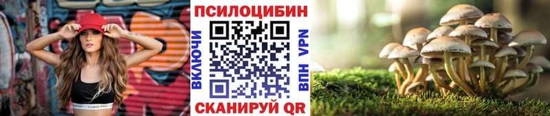 купить наркотики цена  Ханты-Мансийск  MEGA маркетплейс  Псилоцибиновые грибы Psilocybine cubensis 