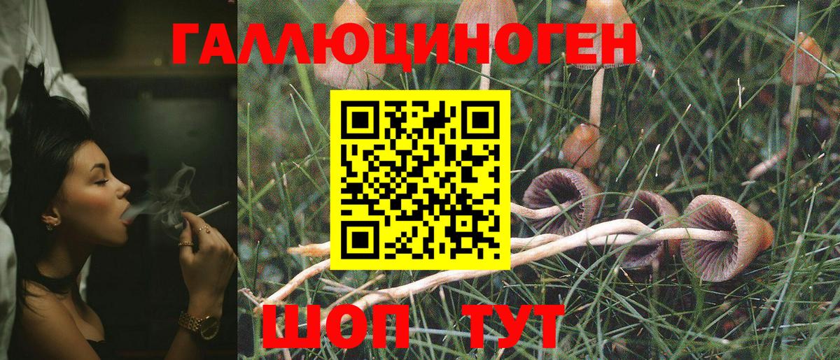 Галлюциногенные грибы Cubensis Ханты-Мансийск