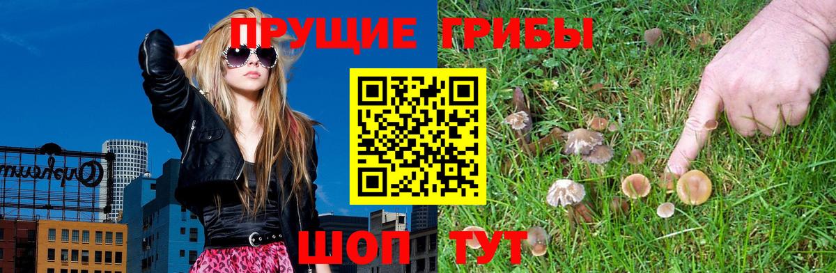 Ханты-Мансийск  Галлюциногенные грибы ЛСД  Вход с VPN  Галлюциногенные грибы Psilocybe 
